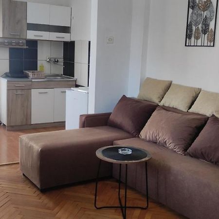 Apartment Mina Soko Banja Esterno foto
