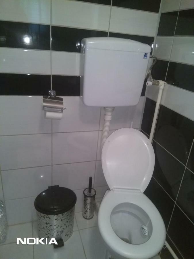 Apartment Mina Soko Banja Esterno foto